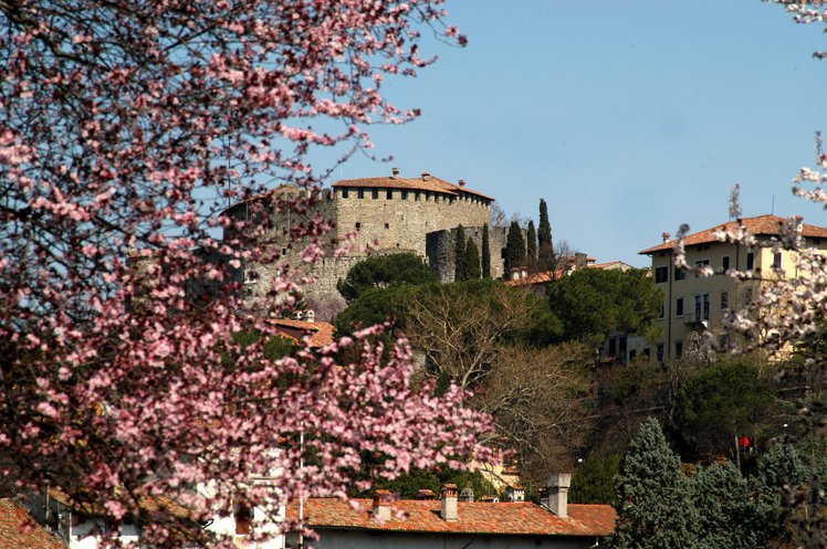 Castello con fiori