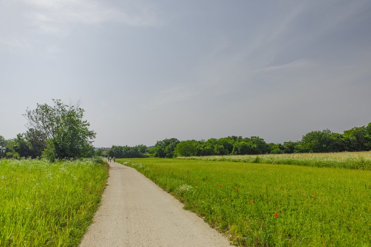 ciclabili 1