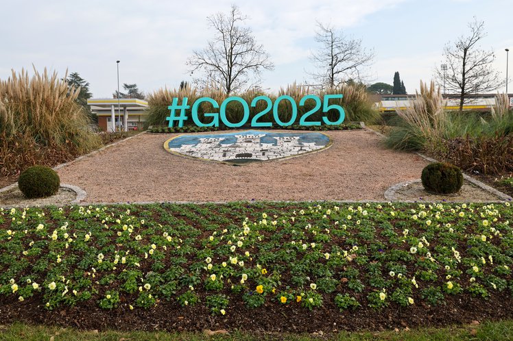 #Go2025_rotonda