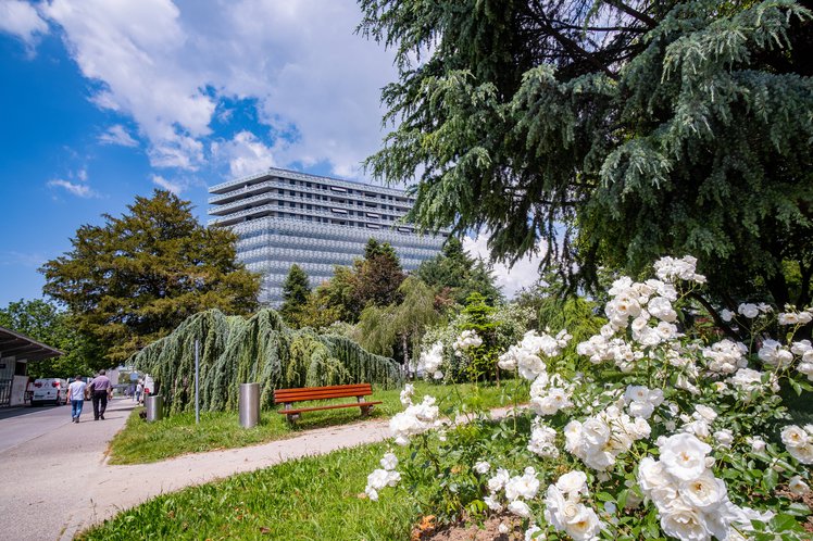 Nova Gorica