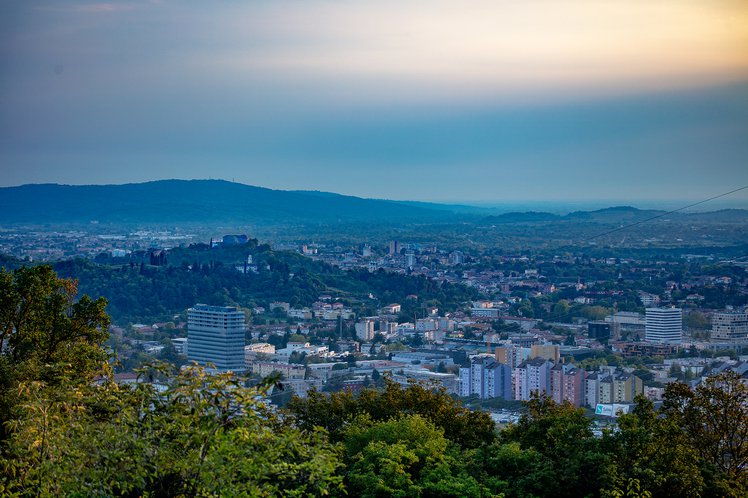 pogled