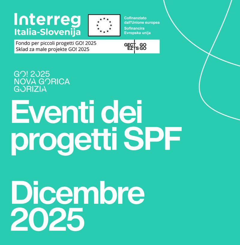 spf dicembre