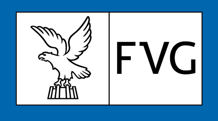 FVG