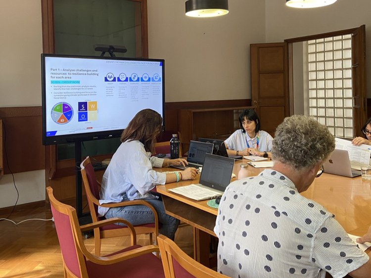 CONNECT II workshop